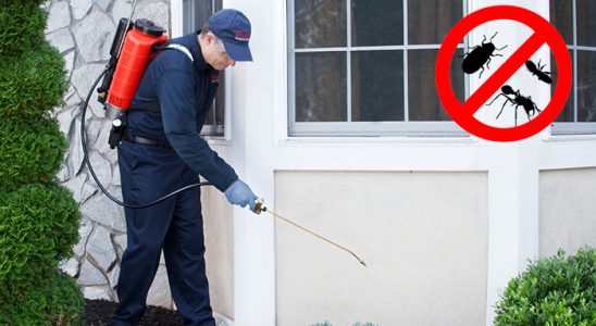 Karatay Hamam Böceği İlaçlama böcek ilaçlama ve haşere kontrolü — ilaclama-tr.com